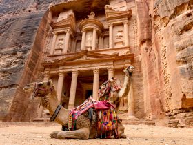 Spectacular view of two beautiful camels in front of Al Khazneh (The Treasury) at Petra. Petra is a historical and archaeological city in southern Jordan.